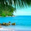 PUSH Video Wallpaper 4.64 Crack + License Key