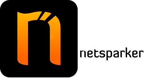 NetSparker Professional Crack 6.3.3.34 With Terbaru