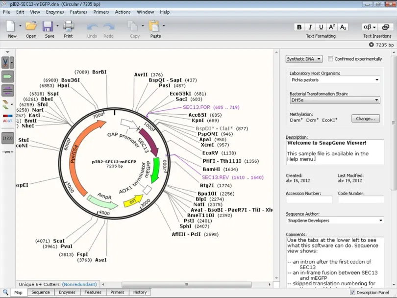 SnapGene Crack v6.1.2 + Keygen Terbaru Gratis Versi Unduh