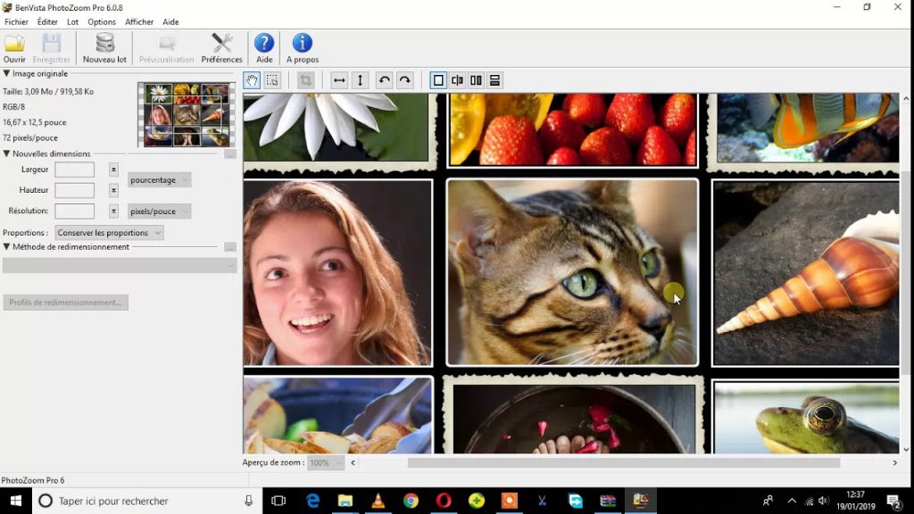 Benvista PhotoZoom Pro Crack 8.2 + Keygen Terbaru