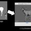 Creature Animation Pro Crack 3.75 + Portable Terbaru Gratis