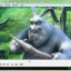 Media Player Classic Home Cinema Kuyhaa 2.4.2 Terbaru
