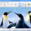 GiliSoft Photo Stamp Remover Pro Kuyhaa 9.8 For Windows